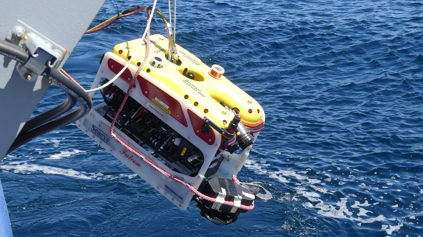 rov training